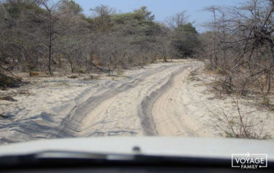 conduire sur piste avec un 4x4 lors d'un safari en famille au botswana